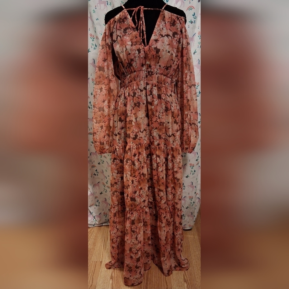 NWOT Reved Pink Floral Romantic Cottage Boho Sheer Long Sleeve Maxi Dress SZ L - Picture 1 of 7